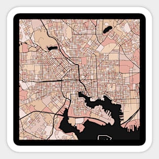 Baltimore Map Pattern in Soft Pink Pastels Sticker